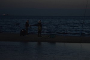 DSC 0044