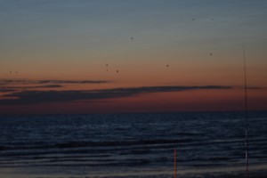 DSC 0055