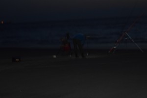 DSC 0066