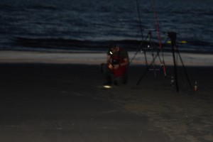 DSC 0067