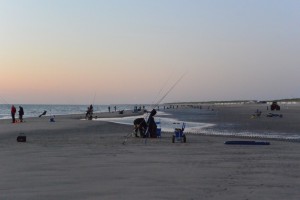 IMG 3506