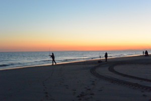 IMG 3520